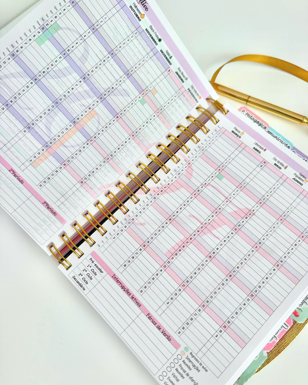 Agenda da Professora 2026-2027