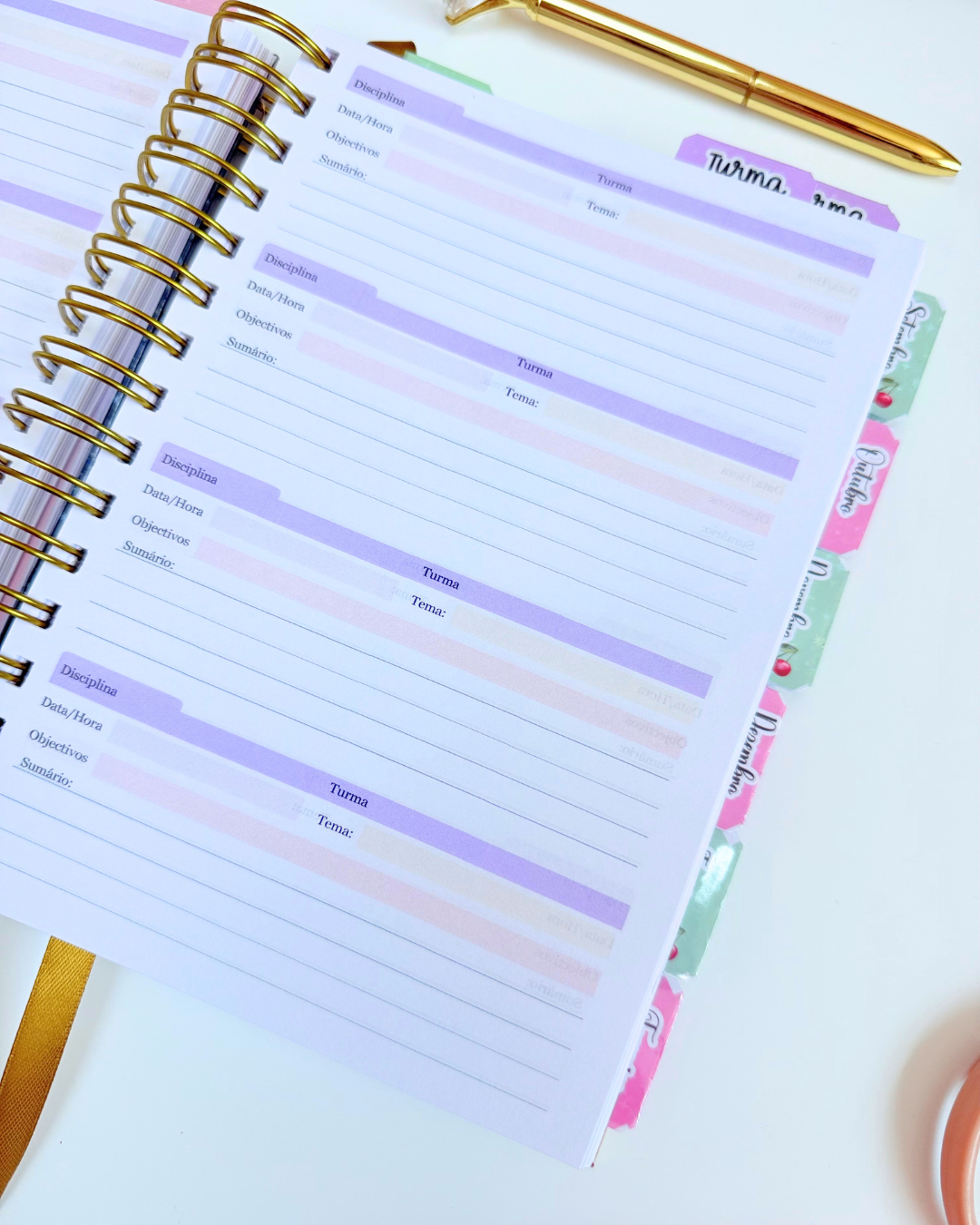 Agenda da Professora 2026-2027