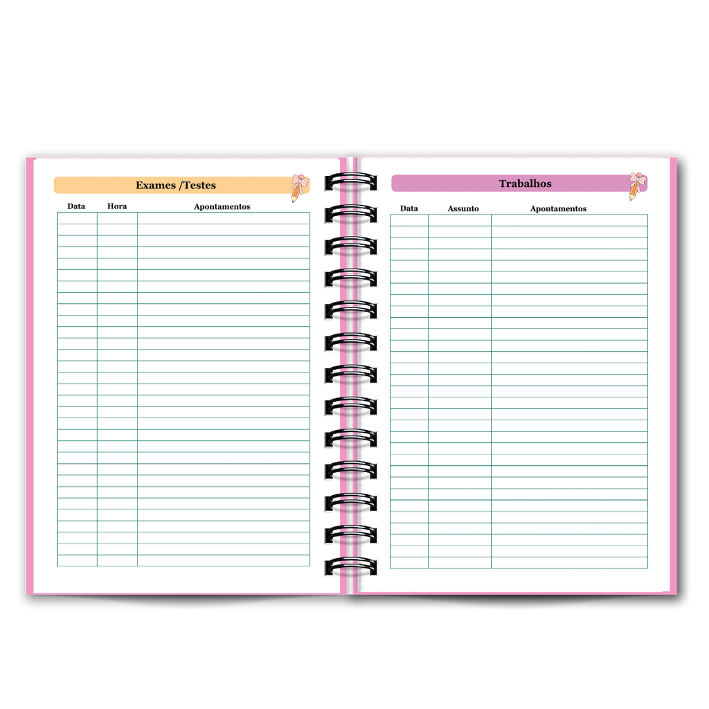 Agenda do Professor / Educadora / 2025-2026 Diária