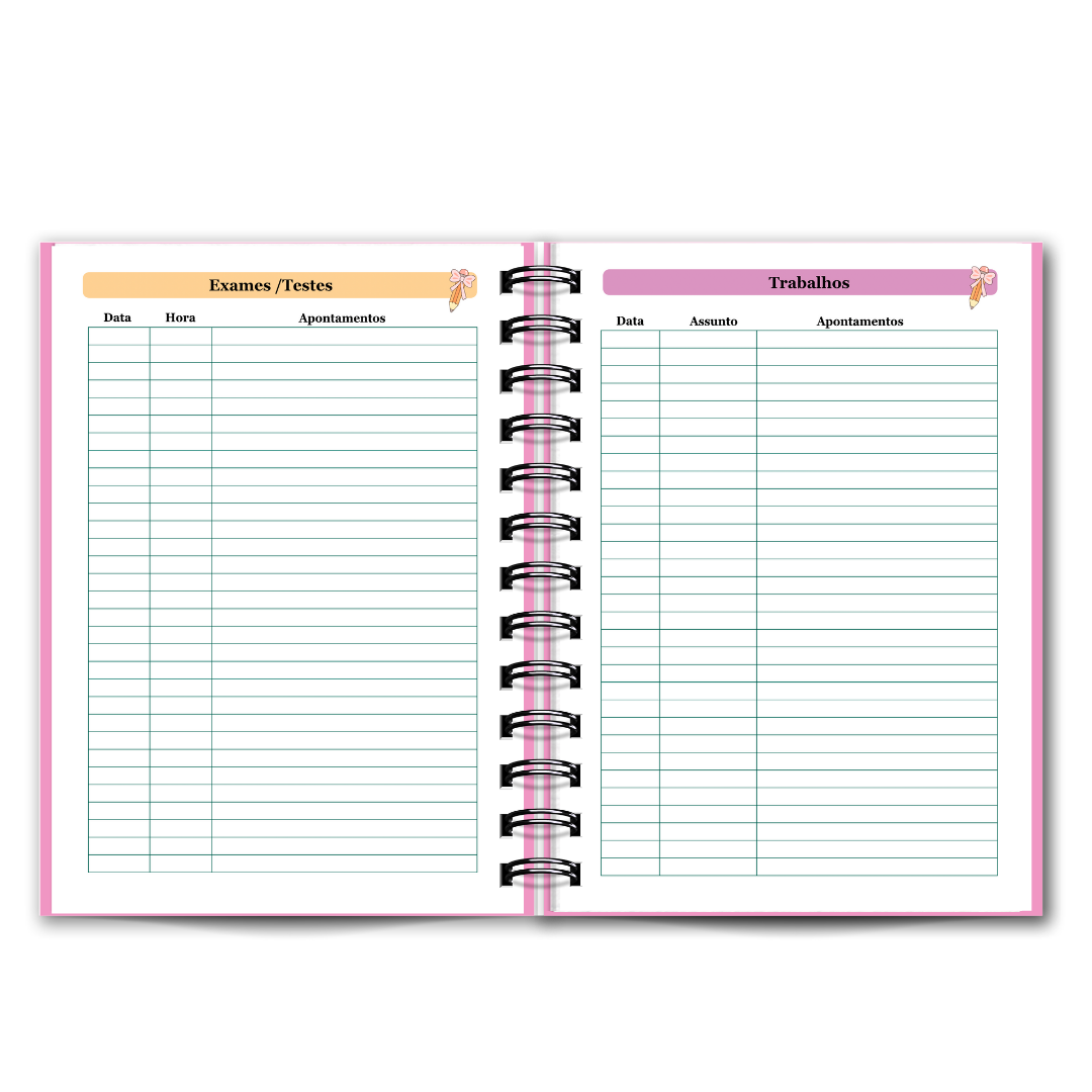 Agenda do Professor / Educadora / 2025-2026 Diária