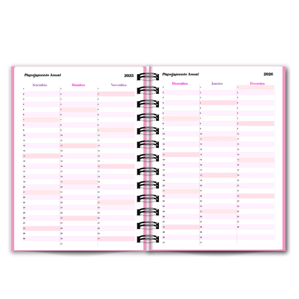 Agenda do Professor / Educadora / 2025-2026 Diária