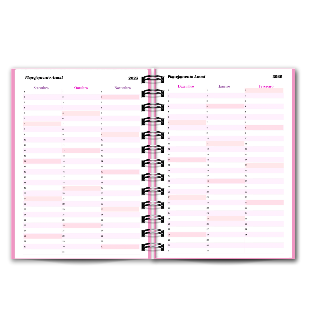 Agenda do Professor/Educadora / 2025-2026 Diária Outlet