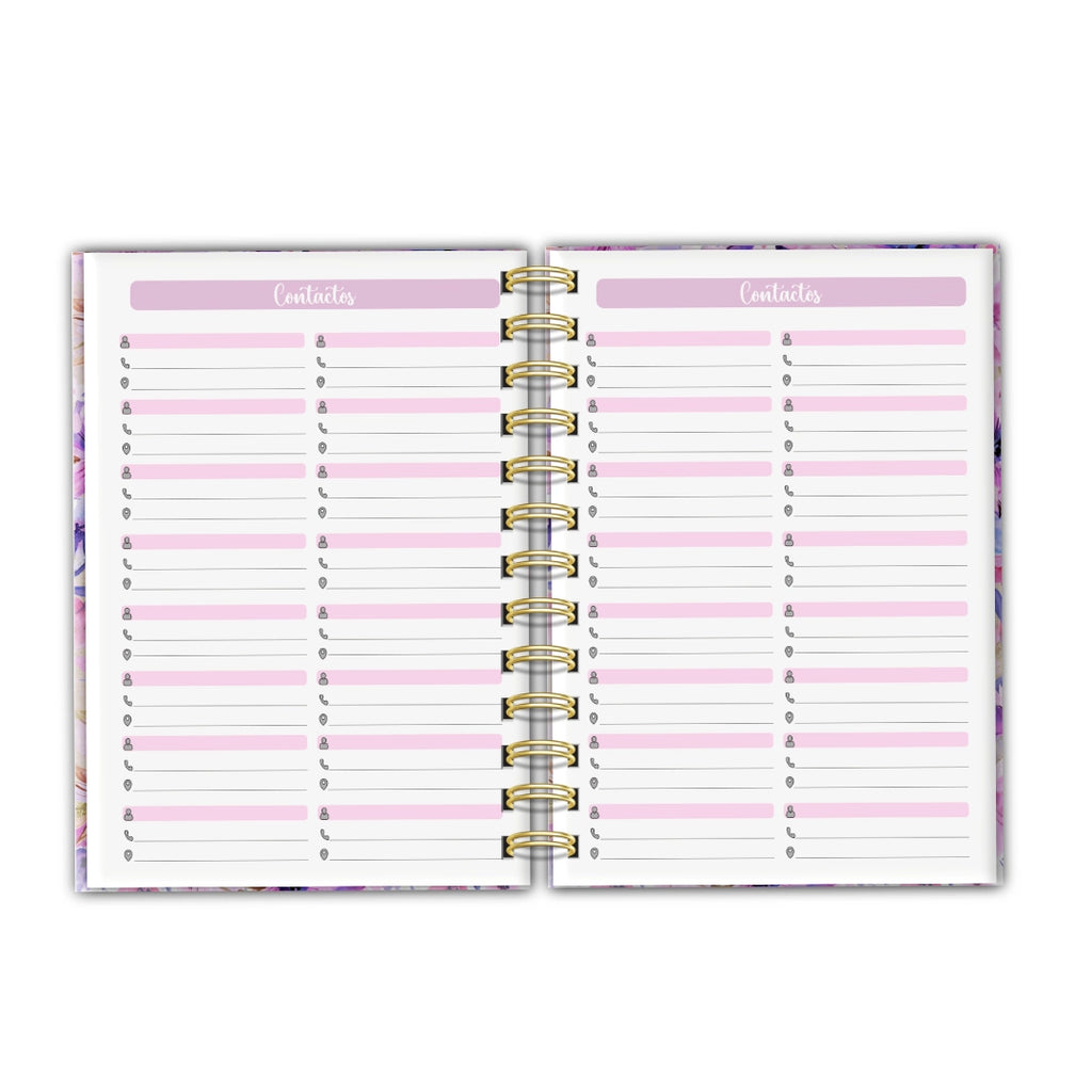 Agenda Dream Big