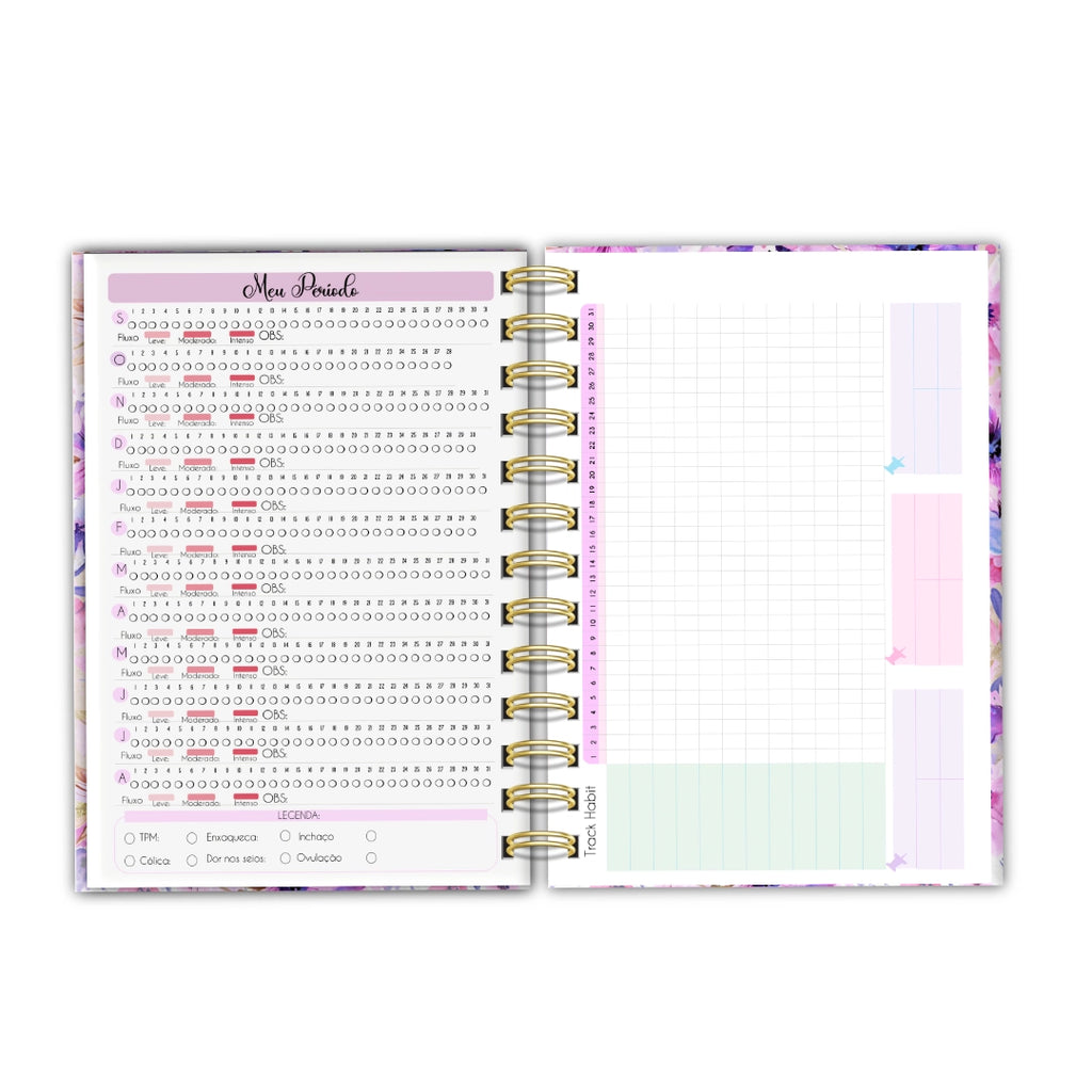 Agenda Dream Big