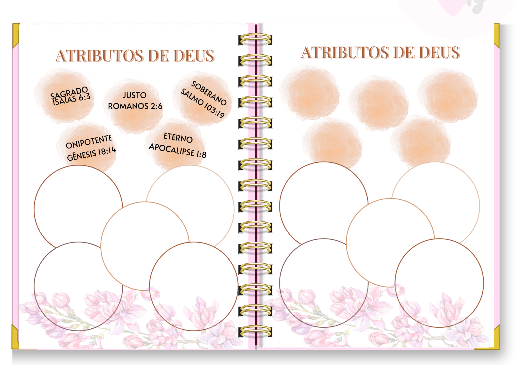 Diário Devocional 52 semanas