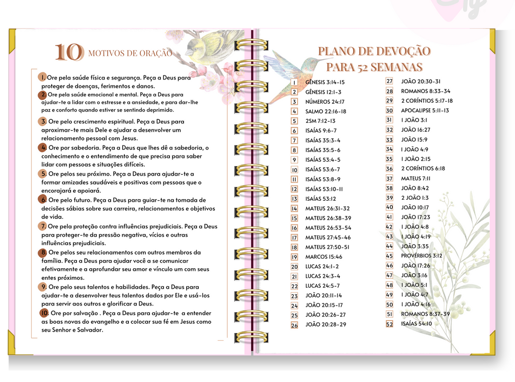 Diário Devocional 52 semanas