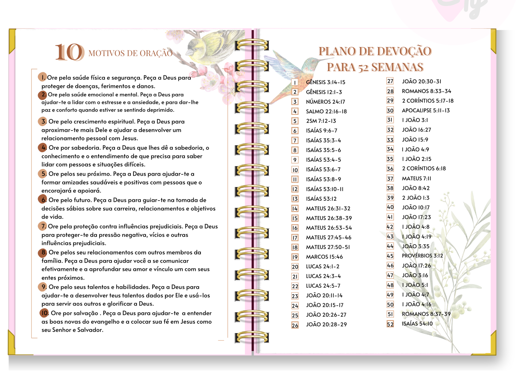Diário Devocional 52 semanas