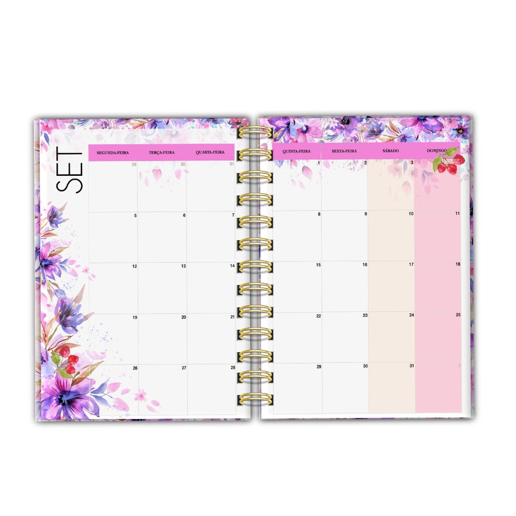 Agenda Dream Big